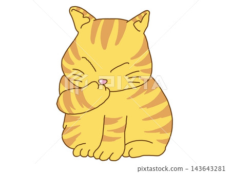A tabby cat washing its face 143643281