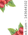 Raspberries frame, whole, half, leaves. Hand-painted watercolor illustration isolated on white for food packaging, dessert, jam, beverages, cosmetic, branding, label, recipe, cookbook, poster, design 143644102