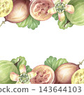 Green, brown gooseberries frame, berries, leaves, blossom. Hand-painted watercolor illustration isolated on white for branding, food labels, poster, cards, recipes, cookbook, gardening, design 143644103