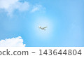Flying Cessna 143644804