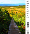 The road leading from Mount Hakkoda, where the autumn leaves are at their peak. 143645318