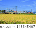 秋季的東海道線景色優美,金色的稻田令人賞心悅目。 秋季的東海道線景色優美,金色的稻田令人賞心悅目。 143645407