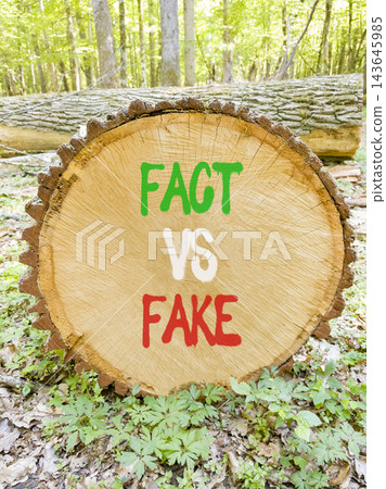 Fact vs versus fake words symbol. Concept words Fact vs Fake on beautiful wooden circle. Beautiful green forest background. Business and fact vs versus fake concept. Copy space. 143645985
