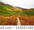 A red carpet of Chinglema flowers 143647188