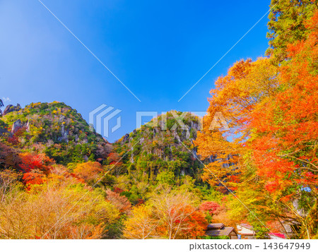 A view from the Reitoku Valley Nature Trail in autumn, looking up at the majestic, strangely shaped rock formations towering above, adorned with the vibrant autumn foliage at its peak. A view from the Reitoku Valley Nature Trail in autumn, looking up at the majestic, strangely shaped rock formations towering above, adorned with the vibrant autumn foliage at its peak. 143647949