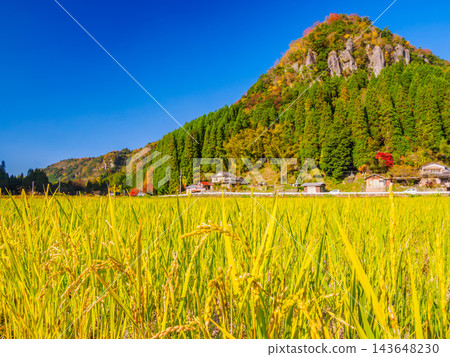 A rural landscape captured at the Ura-Yabakei Observatory in autumn, showing the majestic mountain range with its strangely shaped rocks rising beyond the golden rice fields. A rural landscape captured at the Ura-Yabakei Observatory in autumn, showing the majestic mountain range with its strangely shaped rocks rising beyond the golden rice fields. 143648230
