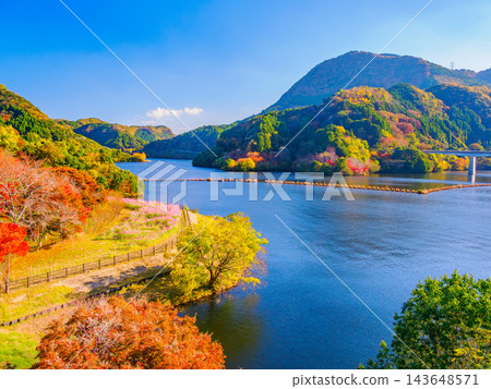 這是秋季從矢吹水壩觀景台上拍攝的湖景,展現了波光粼粼的藍色矢吹湖,周圍環繞著湛藍的天空和絢麗的秋葉。 這是秋季從矢吹水壩觀景台上拍攝的湖景,展現了波光粼粼的藍色矢吹湖,周圍環繞著湛藍的天空和絢麗的秋葉。 143648571