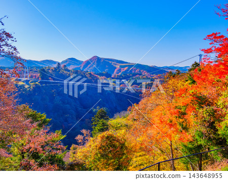 秋季從白鳥神社展望台上拍攝的壯麗山谷全景,展現了九重夢吊橋在秋葉掩映下延伸的壯觀景象。 秋季從白鳥神社展望台上拍攝的壯麗山谷全景,展現了九重夢吊橋在秋葉掩映下延伸的壯觀景象。 143648955