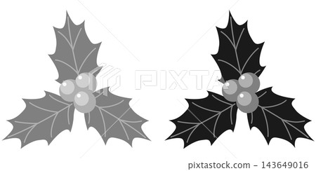 Holly icon illustration set / Christmas illustration material Holly icon illustration set / Christmas illustration material 143649016