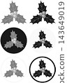 Holly icon illustration complete set of variations / Christmas materials including standard, round background, and circular frame. 143649019