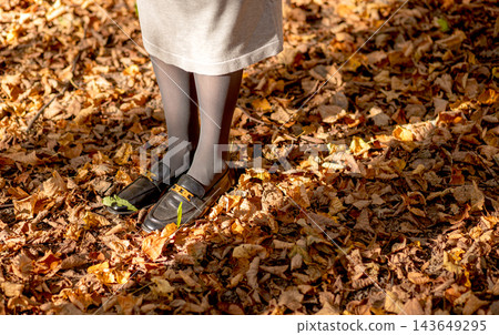 Black loafers with gold chain buckle, standing on autumn leaves. Woman legs in gray tights, fallen foliage covering forest floor. Stylish footwear detail, trendy metallic accessory, fall Black loafers with gold chain buckle, standing on autumn leaves. Woman legs in gray tights, fallen foliage covering forest floor. Stylish footwear detail, trendy metallic accessory, fall 143649295