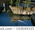 A boat and a white carp 143649335
