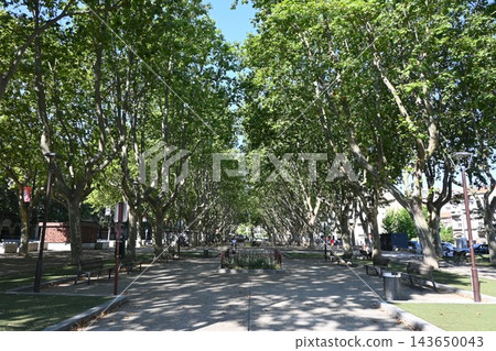 法國南部一座綠樹成蔭、景色宜人的公園。 法國南部一座綠樹成蔭、景色宜人的公園。 143650043