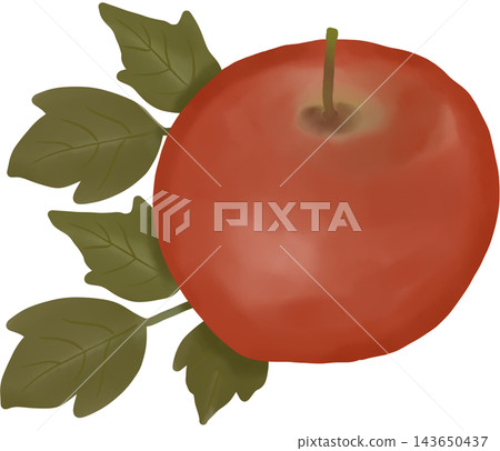 A realistic digital illustration of a ripe red apple with smooth skin, soft highlights, and green stem. 143650437