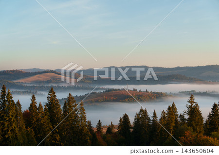 Misty autumn mountain valley with low morning fog and green spruce trees. Misty autumn mountain valley with low morning fog and green spruce trees. 143650604