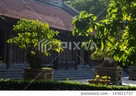Sunlight filters through bonsai foliage in a tranquil temple courtyard 143651737
