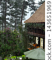 Rustic thatched lodge surrounded by rainy pine forest 143651969