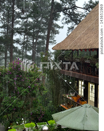 Rustic thatched lodge surrounded by rainy pine forest Rustic thatched lodge surrounded by rainy pine forest 143651969