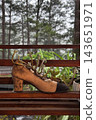 Succulents Growing in an Old Repurposed Shoe Planter 143651971