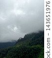 Misty fog shrouding dense green forest on mountain ridge 143651976