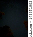 Stars fill a dark night sky framed by trees 143651992