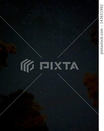 Stars fill a dark night sky framed by trees Stars fill a dark night sky framed by trees 143651992
