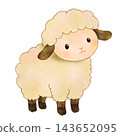 Fluffy sheep color illustration [Transparent background] 143652095