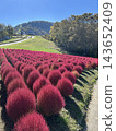 【新潟】秋高氣爽的天空下，高原上地膚草和周圍群山的秋色構成了一幅美麗的景象。 143652409