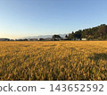 Autumn countryside with views of mountain ranges 143652592