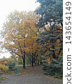 Empty pathway through vibrant autumn park lane 143654149