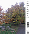 Empty pathway through vibrant autumn park lane 143654154