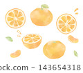A set of hand-drawn watercolor illustrations of mandarins. 143654318
