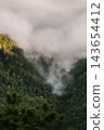 Morning Fog in Forested Mountain Valley 143654412