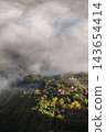 Aerial View of Forested Village in Morning Fog 143654414