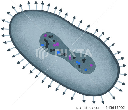 blue poxvirus illustration blue poxvirus illustration 143655002