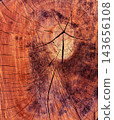 A detailed macro shot showcases the intricate textures and natural patterns of a wooden tree stump, highlighting its growth rings and weathered cracks.	 143656108
