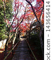 Autumn maple-lined path at Genkoan Temple in Kyoto 143656414