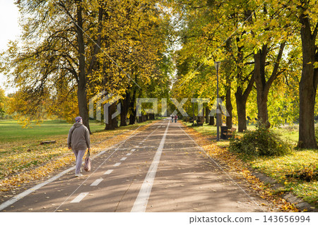 Person walking along a scenic autumn park alley with golden foliage 143656994