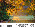 Magic morning light in autumn, Lithuania 143657195