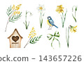 Watercolor spring element set with lue tit bird and wooden house clipart, mimosa and daffodils. Hand drawn botanical illustration bundle isolated on white background. Detailed realistic snowdrop, flow 143657226