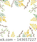 Watercolor spring frame template with mimosa and pussy willow. Modern square background with blank copy space for Easter greeting card. Festive botanical branch and leaf wreath template with empty tex 143657227
