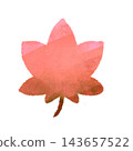Illustration of red and pink maple leaves. A textured autumn leaf design. 143657522