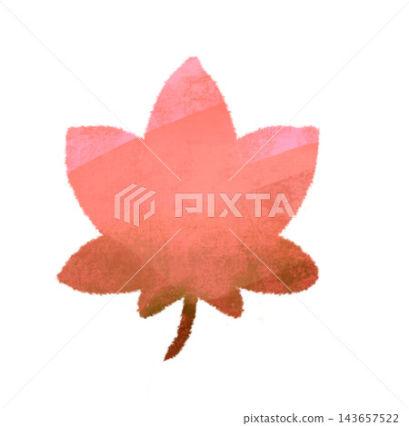 粗糙質感的紅色和粉紅色楓葉插圖。 粗糙質感的紅色和粉紅色楓葉插圖。 143657522