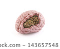 Model of a human brain with gears inside isolated on white background with clipping path 143657548