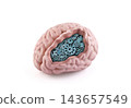 Model of a human brain with gears inside isolated on white background with clipping path 143657549