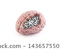 Model of a human brain with numbers inside isolated on white background with clipping path 143657550