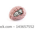 Model of a human brain with gears inside isolated on white background with clipping path 143657552