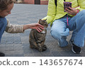 Cute tabby cat enjoying pets from children on city street. 143657674