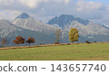 Autumn mountain landscape featuring snow-dusted peaks with colorful deciduous trees 143657740