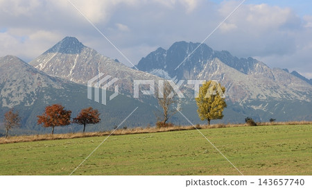 Autumn mountain landscape featuring snow-dusted peaks with colorful deciduous trees 143657740